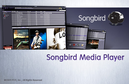 Songbird splash The songbird splash