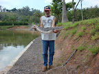 lagoa dos patos 14.jpg