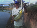 lagoa dos patos .jpg