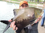 DSCF2116.JPG