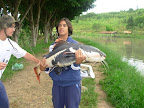 DSCN3978.JPG