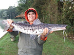 DSCF2243.JPG