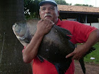 sat anto 11.JPG