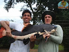 S2010002.jpg