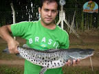 pincachara.jpg