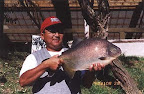pantanosso0085.jpg