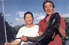 pantanosso0064.jpg