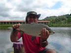 pantanosso0109.jpg