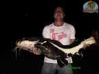 PICT0111.jpg