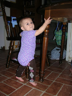 DSCN9427.JPG
