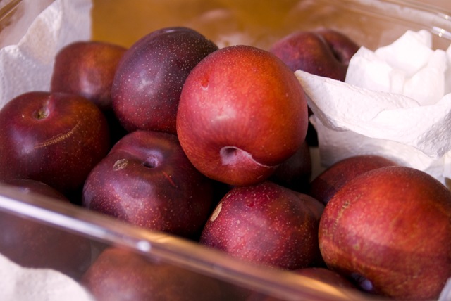 [plums[4].jpg]