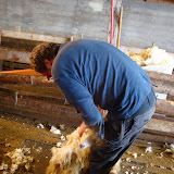 DSC01553.JPG