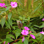 116-1634_IMG.JPG