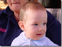 close up of the hair cut