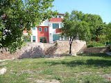 the yard.JPG