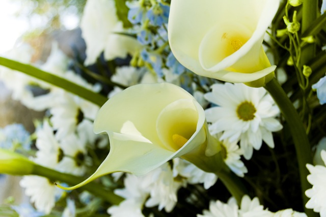 [Spring Boquet[11].jpg]