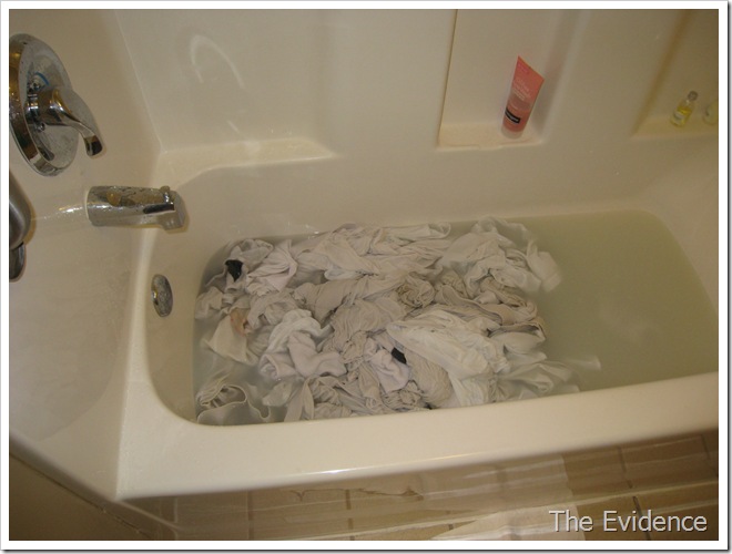 IMG_1302 IMG_1302