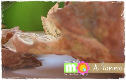 foglia_autunno