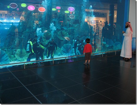 Dubai+mall+aquarium+pictures