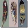 feather paintings cool Wallpapers (7)_desktop wallpapers