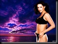 Kelly Brook 1024x768 sexy wallpapers (3) sexy desktop wallpapers