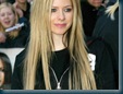 Avril Lavigne  1024x768 11 hollywood celebs wallpapers