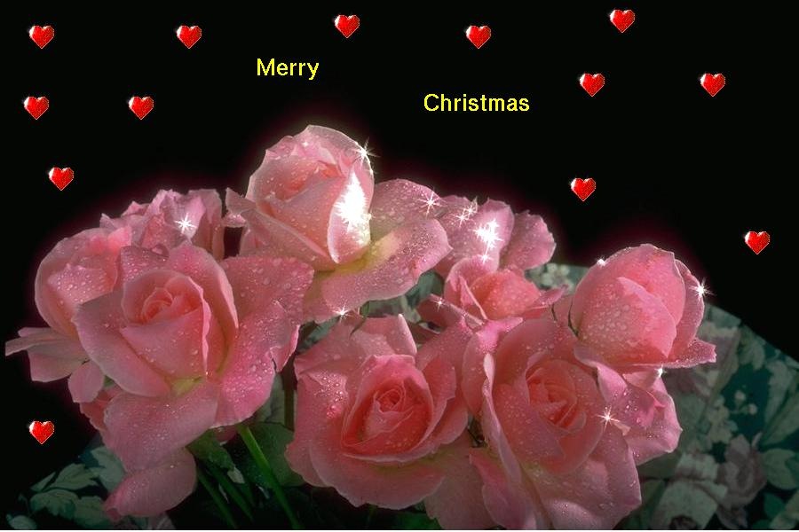 [Christmas Love Cards 1 hollywood stars photos  [2].jpg]