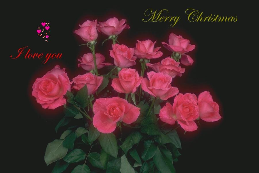 [Christmas Love Cards 4 hollywood stars photos  [2].jpg]