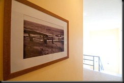 IMG_7103 IMG_7103