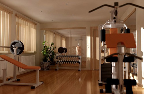 great ideas for house gym designs