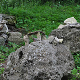 DSC_0081.JPG