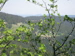 http://lh3.ggpht.com/_429O-23W9gQ/TckHEIf1rEI/AAAAAAAAAhE/_FcyqognTtA/VosgesEte2011%20005.JPG