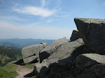 http://lh3.ggpht.com/_429O-23W9gQ/TckHO_he5dI/AAAAAAAAAhY/-ULgGIIbWgo/VosgesEte2011%20011.JPG