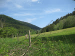 http://lh3.ggpht.com/_429O-23W9gQ/TckJgAi9E3I/AAAAAAAAAmQ/P9fS5jZ30Ys/VosgesEte2011%20136.JPG
