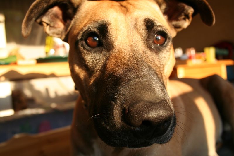 olgatt: Про лето