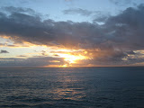 IMG_3123.JPG