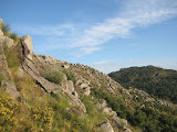 IMG_1079.JPG