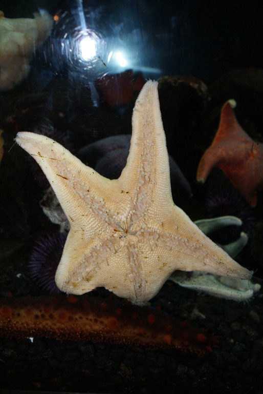[Denver aquarium 2011[11].jpg]