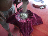 Kava powder