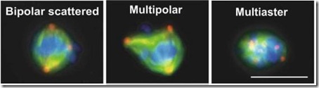 multipolar multipolar