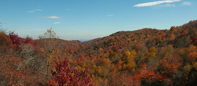 DSC_0043.JPG