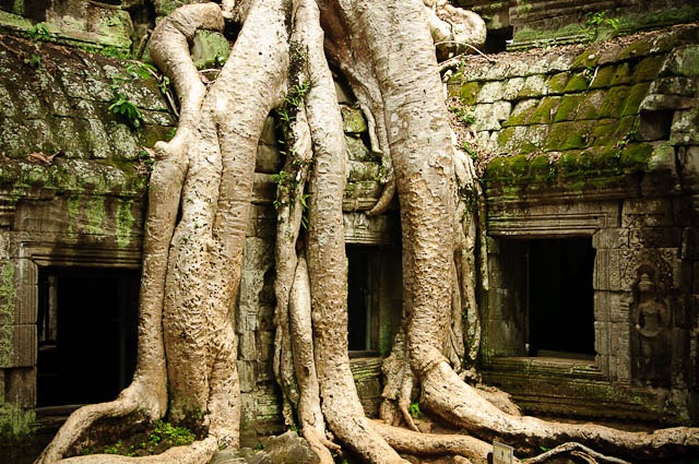 [2011_04_25-D130-Angkor-Wat--Angkor-T[60].jpg]