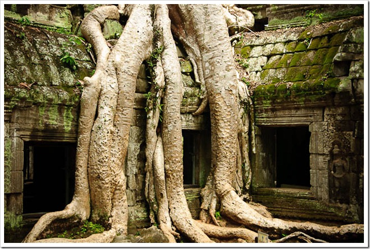 2011_04_25 D130 Angkor Wat & Angkor Thom 271