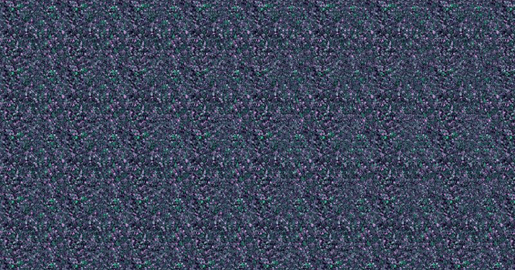 magic eye stereogram