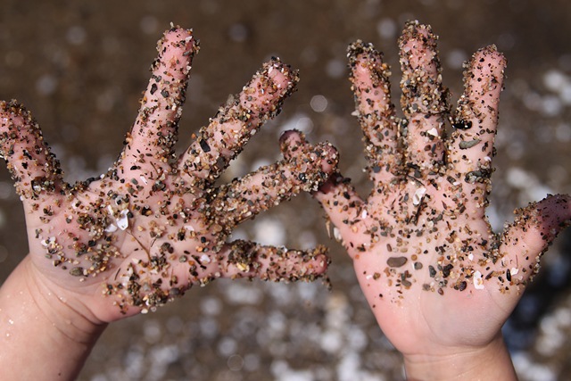 [beach6[5].jpg]
