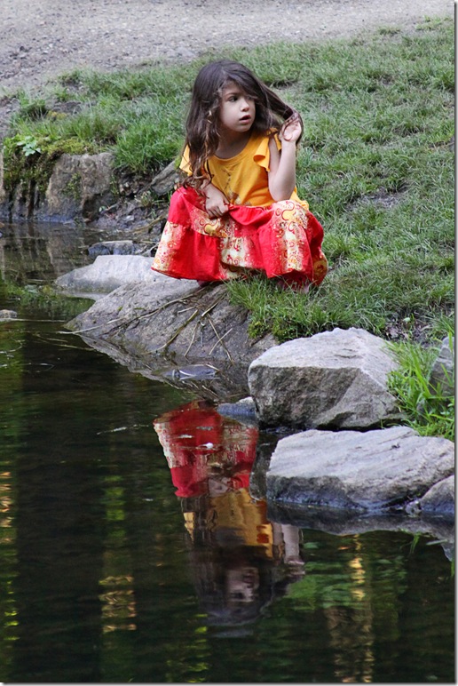 reflection