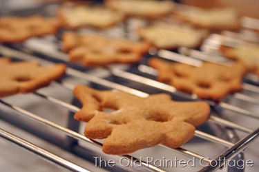 [cookie62.jpg]