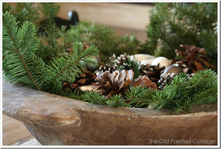 pine6