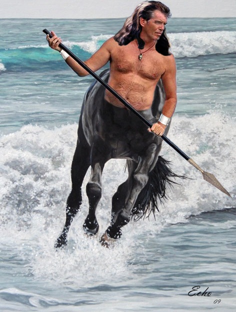 Black Stallion
