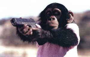 monkeygun Man is just a filthy nasty murderous animal
